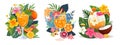 tropical still lifes with drinks, flowers, leaves and fruits, colorful illustration in simple flat style with plants and leaves